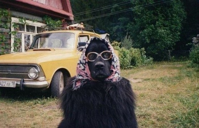 Бабушка приехала