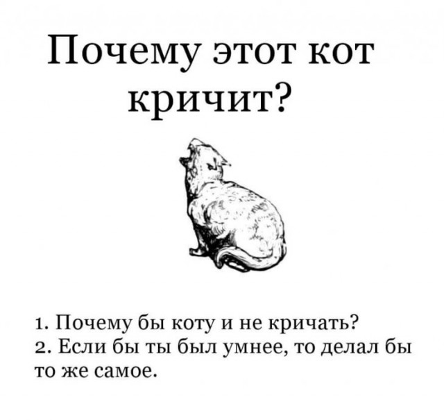 Немного картинок для настроения 27.01.20