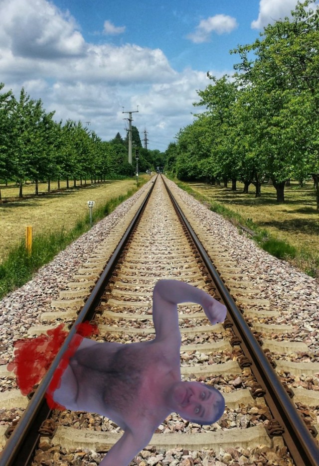 Голый морж