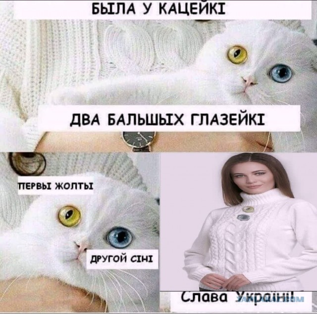 Немного картинок для настроения 04.08.20