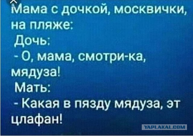 Бредзона 08.09.2020