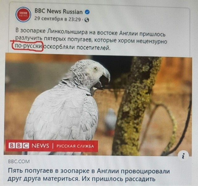 Юмор в картинках 12.10.20