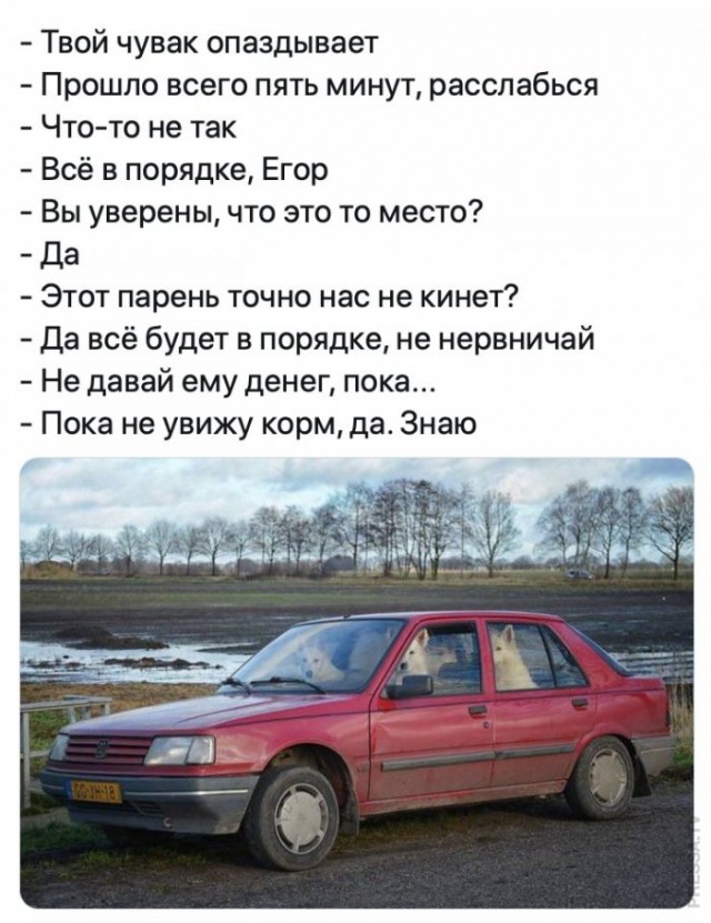 Немного картинок для настроения 10.11.20
