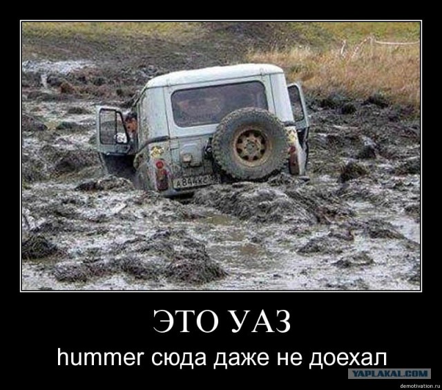 Друзья поспорили