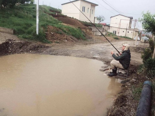 Прикольные и просто красивые картинки 01.06.2021