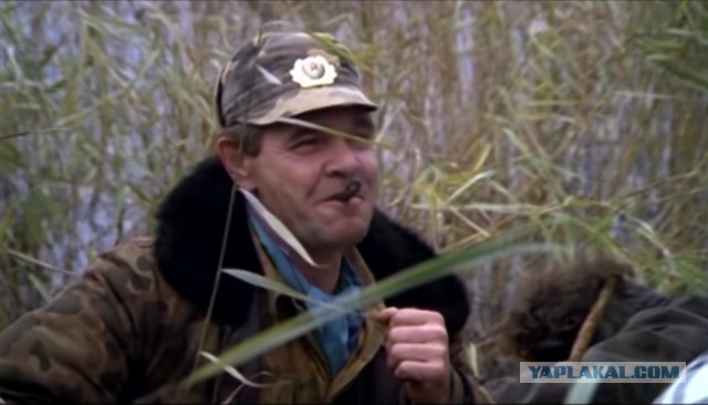Я живу в Калининграде