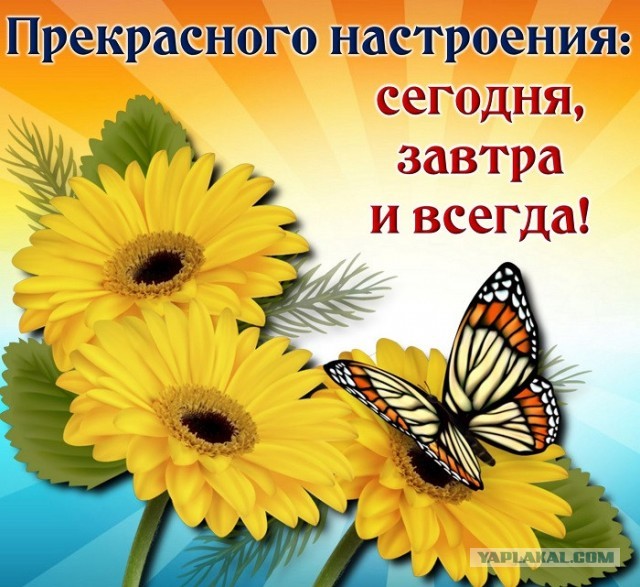 Это гениально