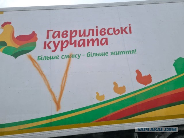Письмо из Киева