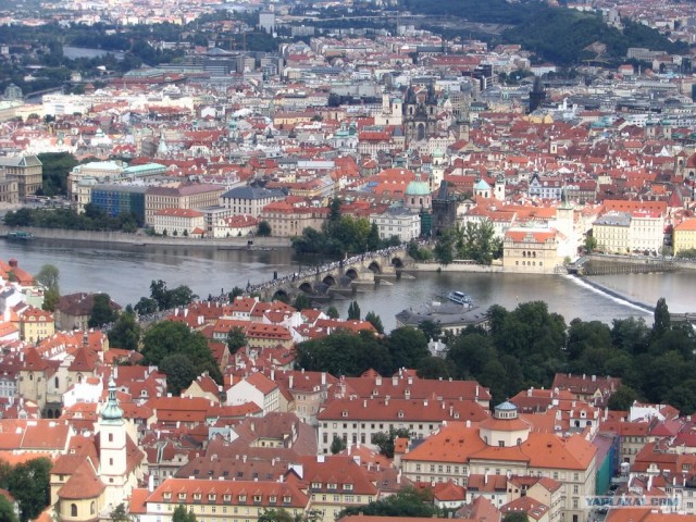 Пивная Прага