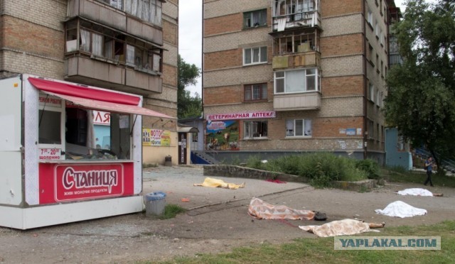 Кто в румынском силён?