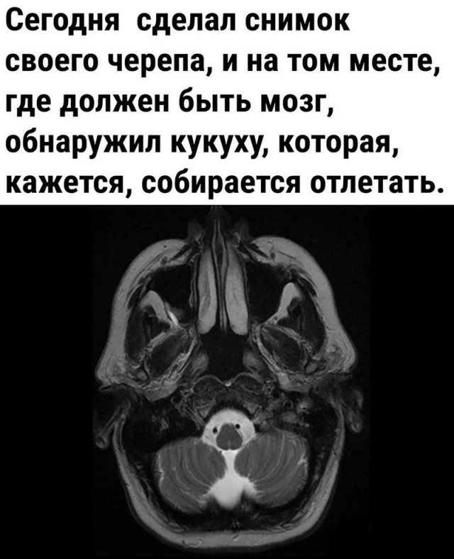 Завалялось тут случайно немного забавных картинок