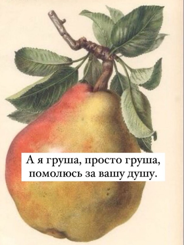 Весёлый полтишок 27.09.24