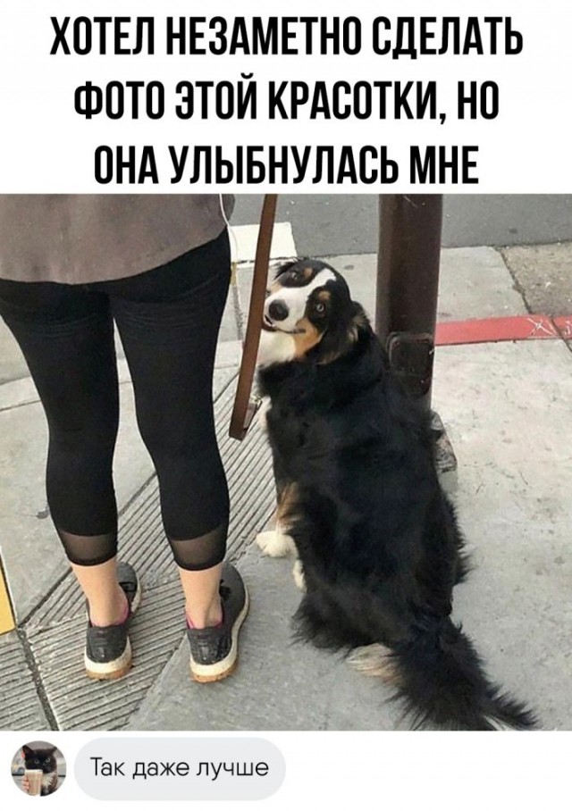 Картинки разные с надписями и без
