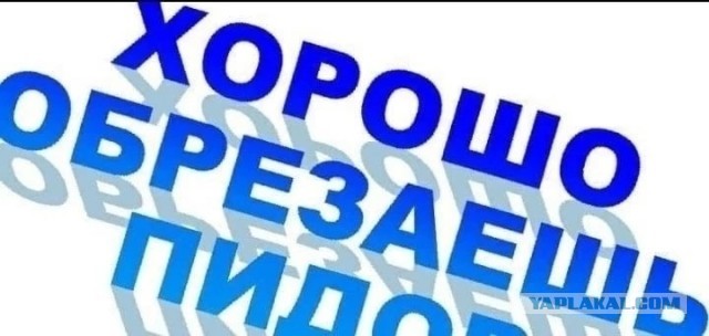 Повод
