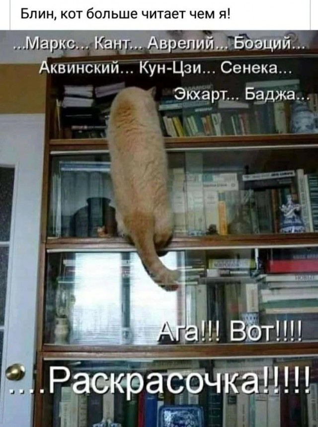 Завалялось тут случайно немного забавных картинок