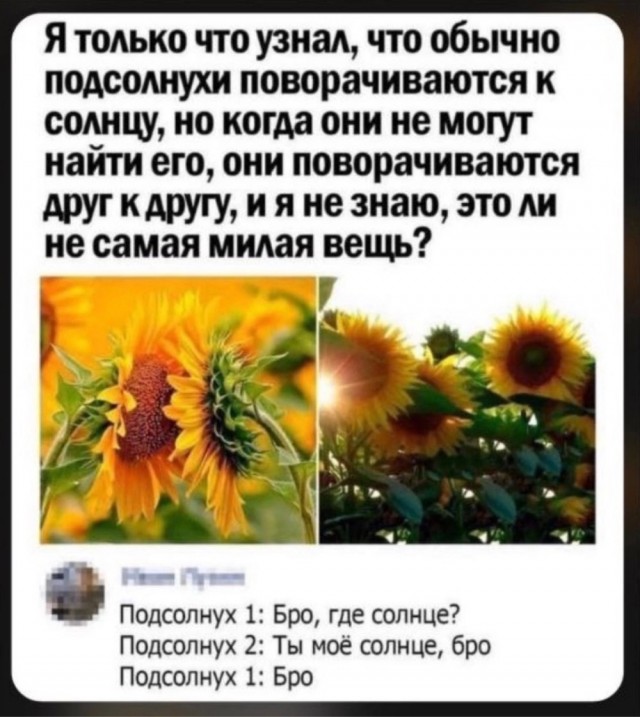 Прикольные и просто красивые картинки 04.04.2025