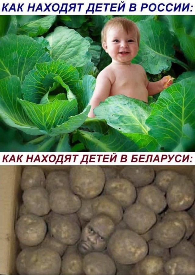 Веселое настроение в картинках (11.08.2025)