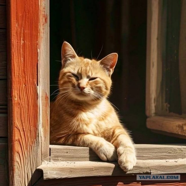 Это интересно!