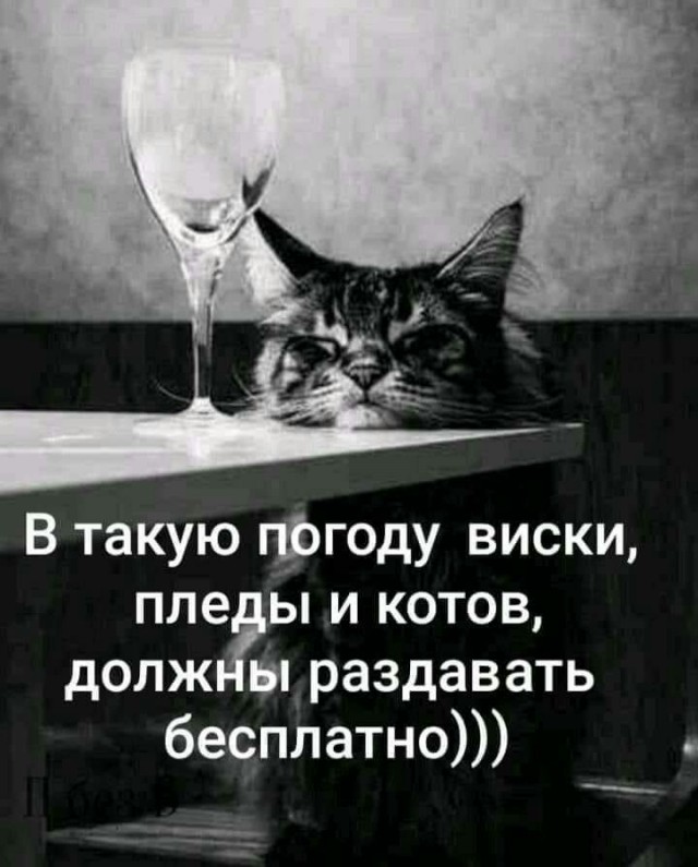 Прикольные и просто красивые картинки 18.11.2025