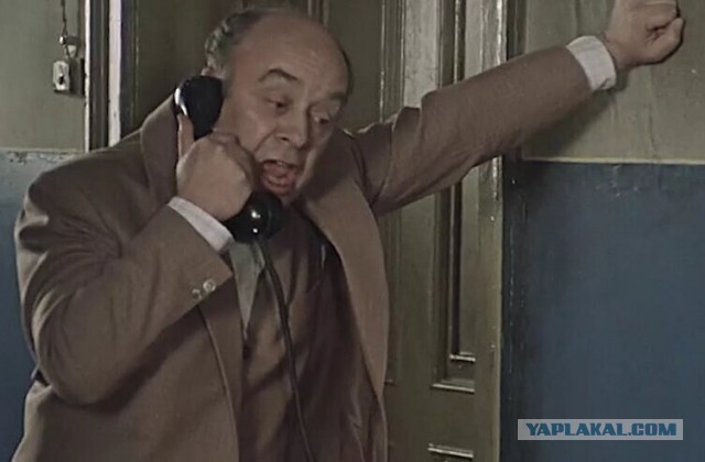 Когда уже жену найдешь