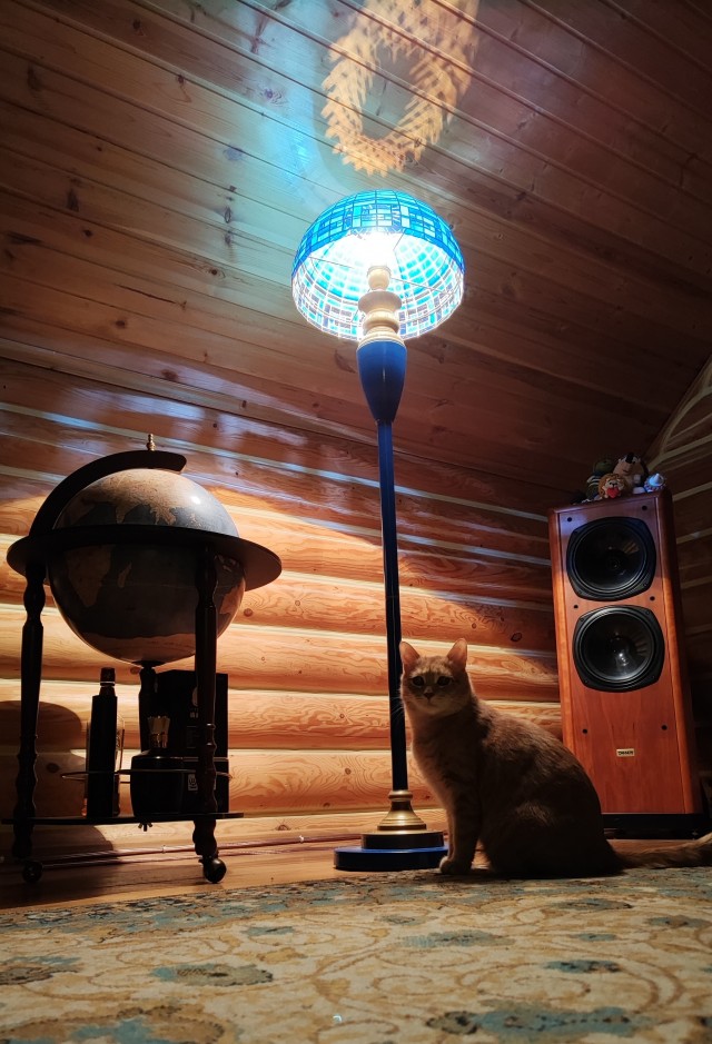 А котовторник уже пришёл?
