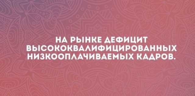 Суть 90% вакансий на хедхантере⁠