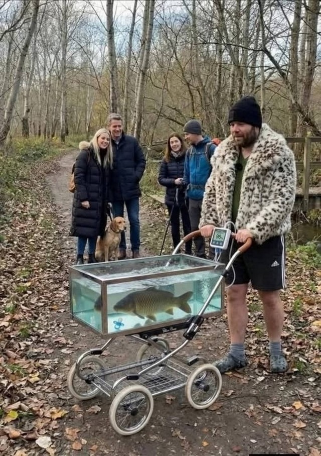 Картинки понедельника