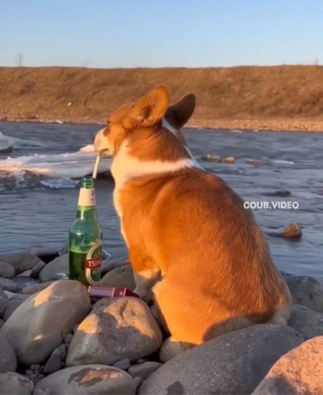 Вторника картинки