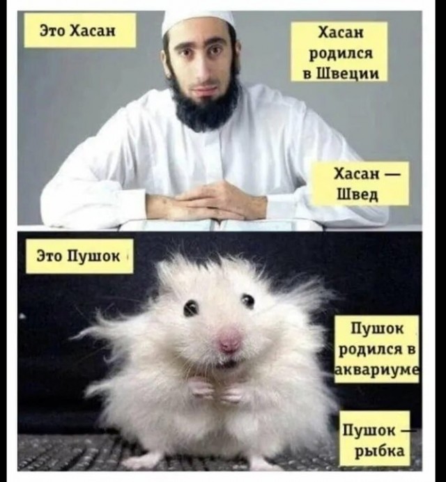 Итальянец пал жертвой полицейского рейда