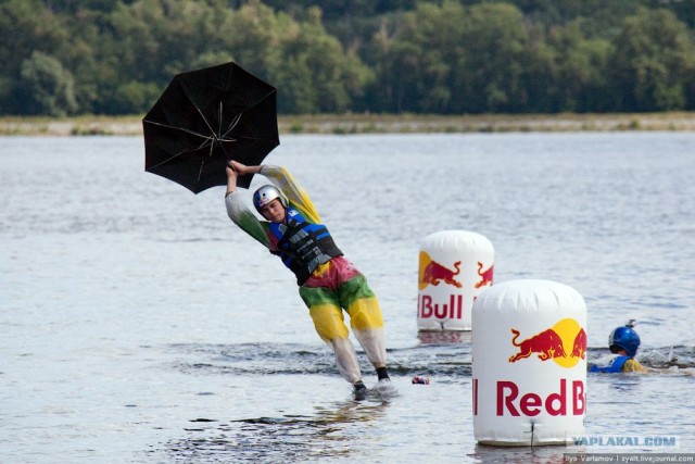 Горячий репортаж с Red Bull Flugtag`a