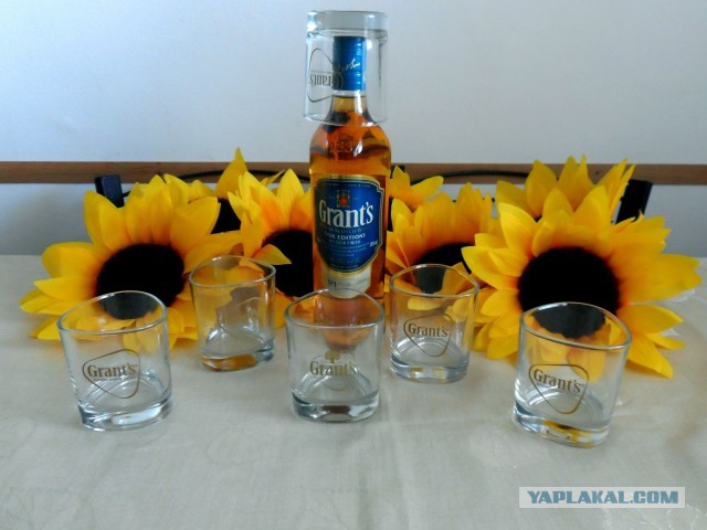 Закуски “United”