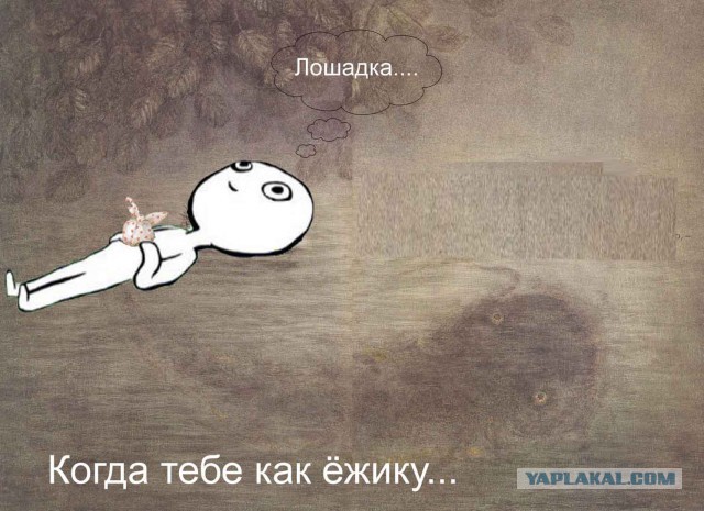 Новый мем