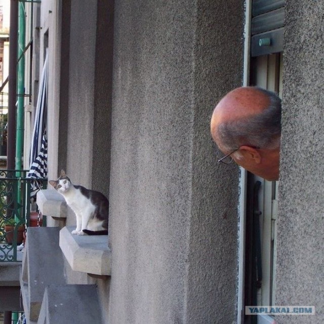 Что там такое?