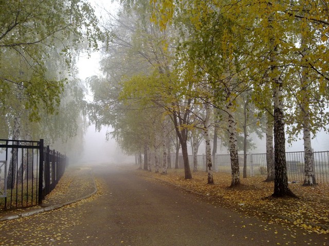 Знакомая выложила фотку...