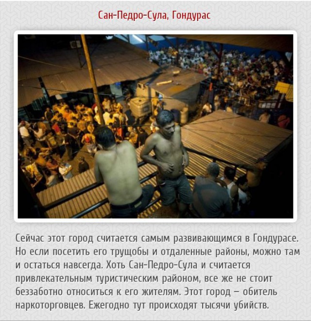 20 фактов обо всем