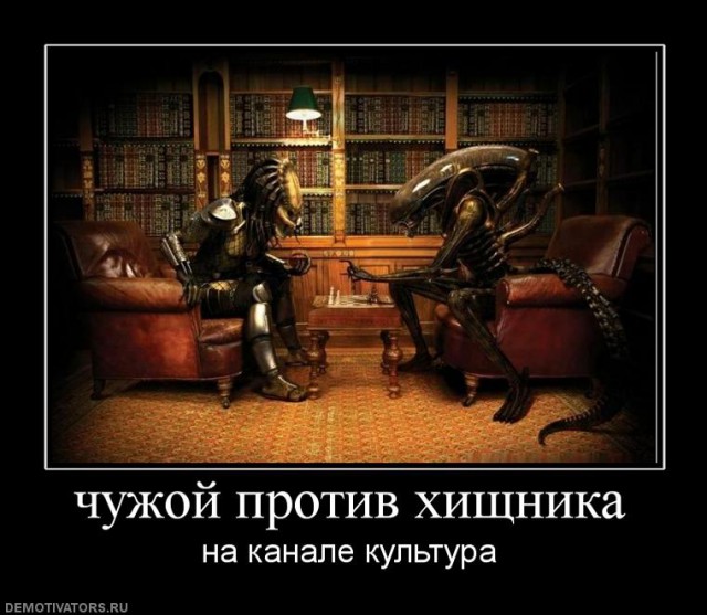 Демотиваторы вторника