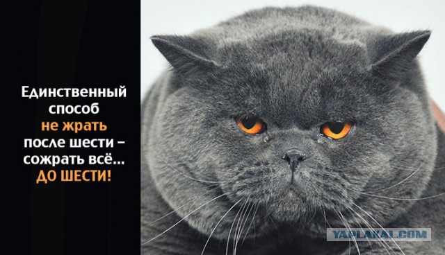 Чтобы улыбнуться