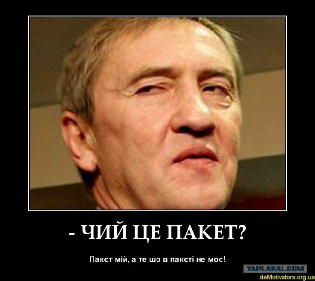 Знаменитости в эйфории.