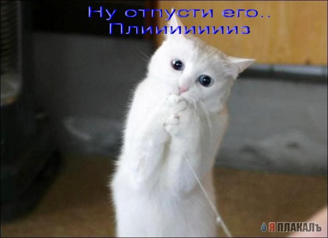 Уже да :) Ужо пятнецца...
