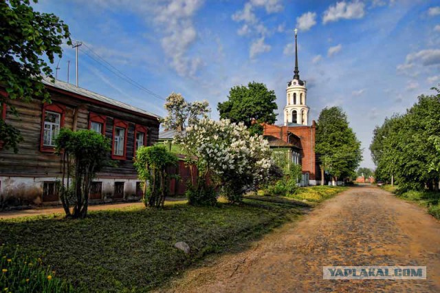 Я узнал, что у меня есть огромная семья