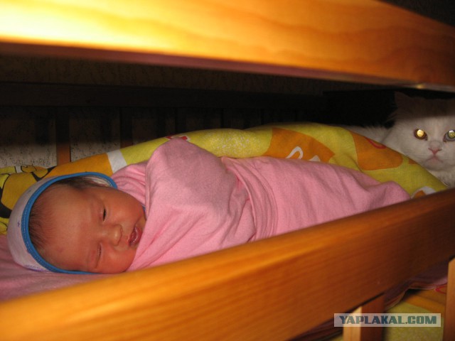 Наш любимый Семёша покинул нас сегодня(((