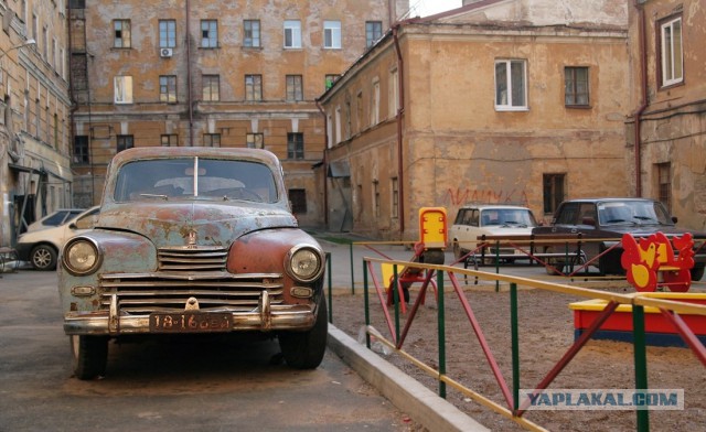 Подборка смешных, не очень и просто красивых фотографий
