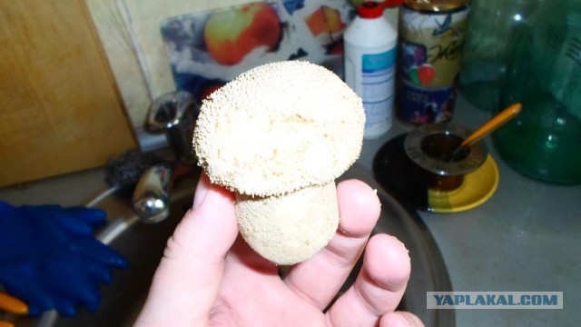 Где Клуб Любителей Алкоголя?
