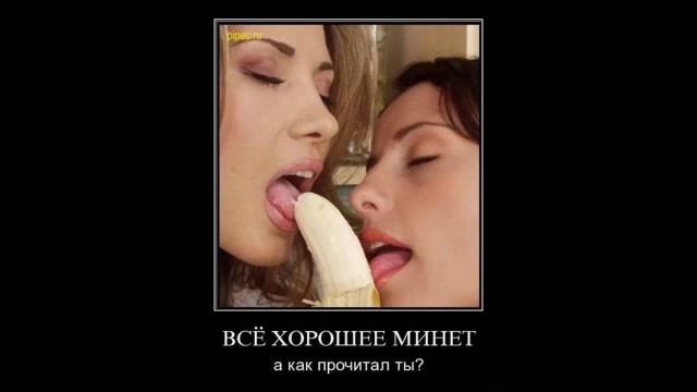 Подборка картинок с юмором "на любителя"