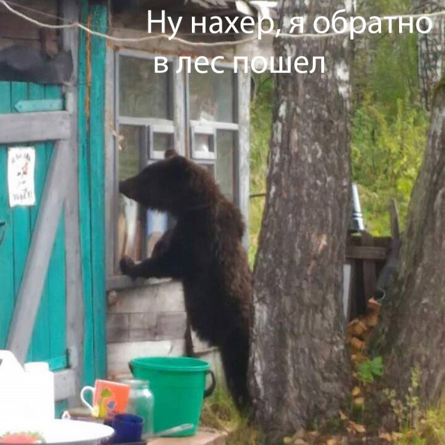 Небольшой рестайлинг двери в съемной квартире