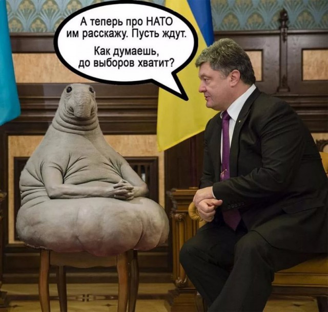 Шо Опять? Прямые трансляции майдана в Киеве
