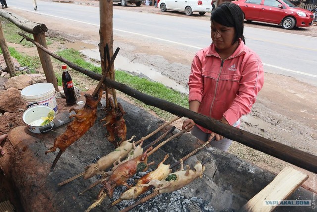 Остановите Землю, я сойду