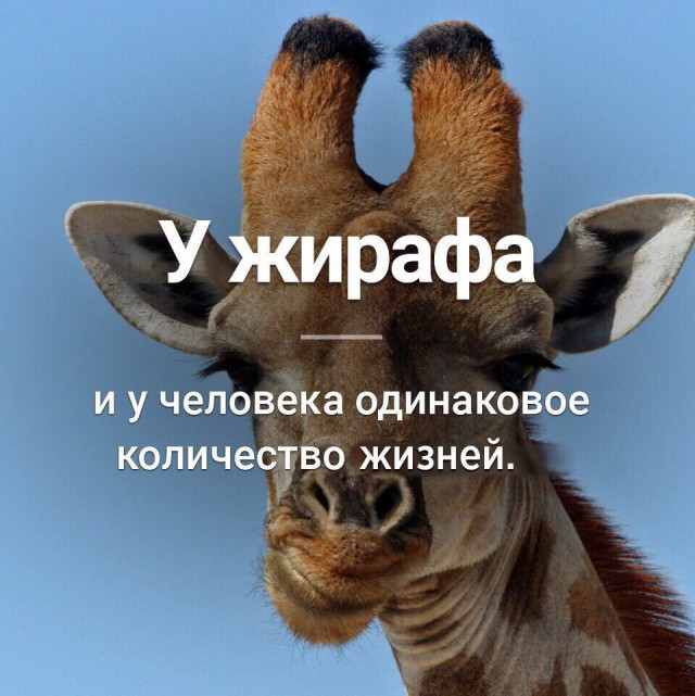 Подеградируем после рабочей недели