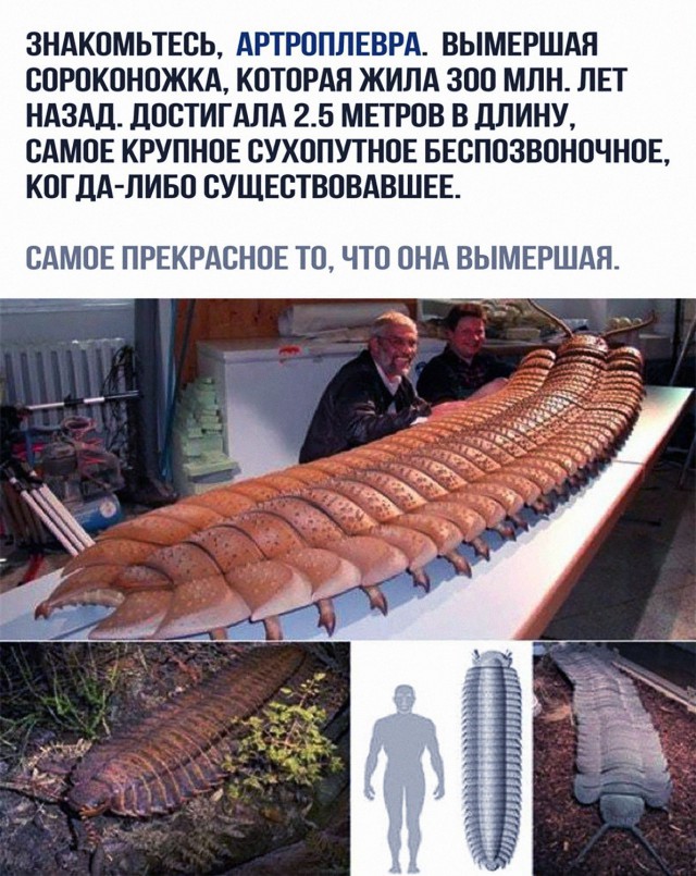 Подборка картинок
