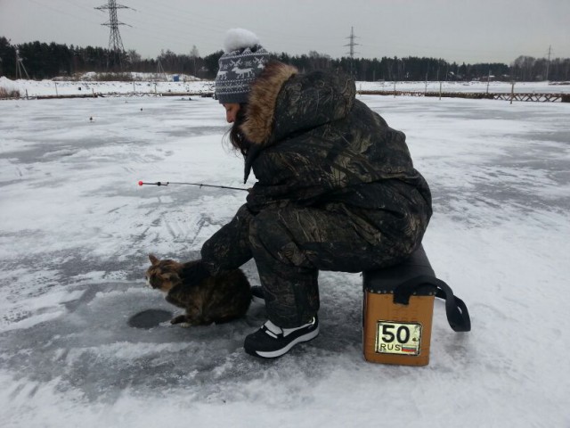 Живность из сети